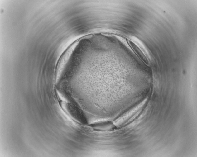 X0000088881244200706221807