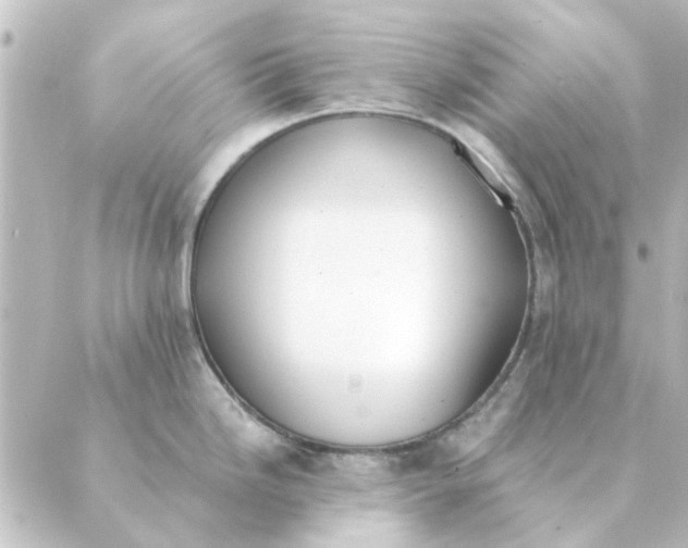 X0000088881246200706221807