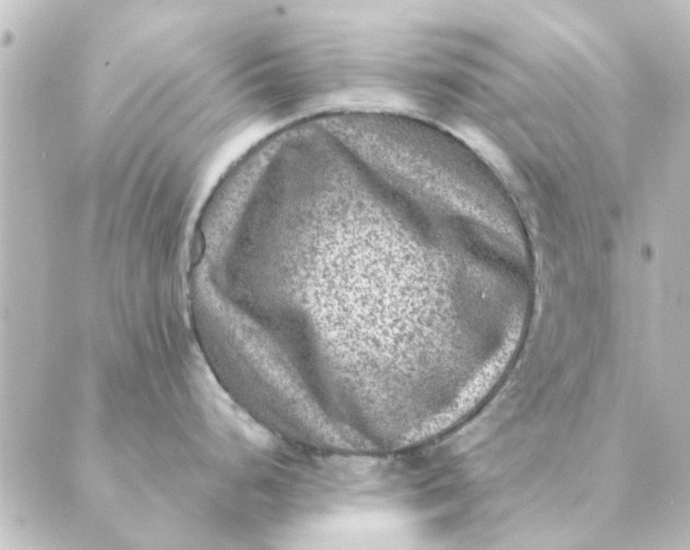 X0000088881248200706221807