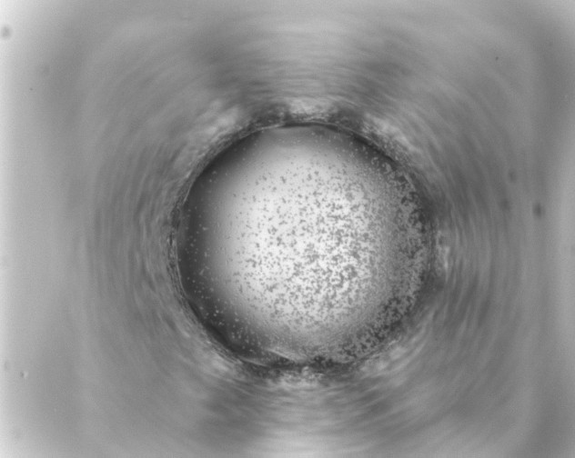 X0000088881249200706221806