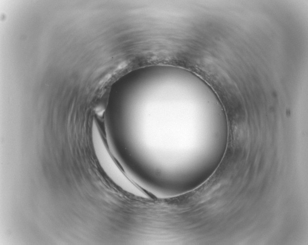 X0000088881250200706221806