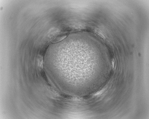 X0000088881251200706221806