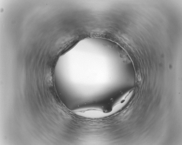 X0000088881252200706221806