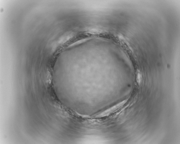 X0000088881253200706221806