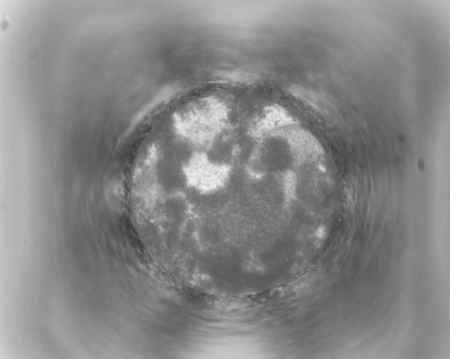 X0000088881254200706221806