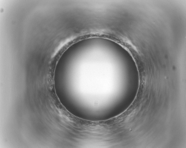 X0000088881256200706221806