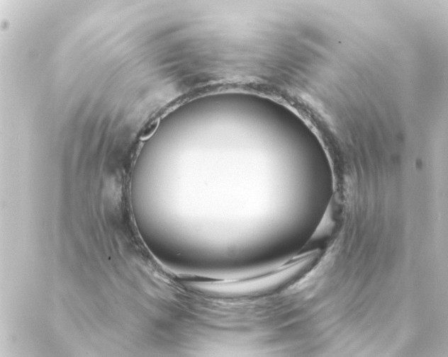 X0000088881257200706221806