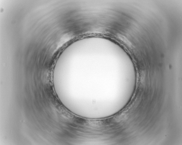 X0000088881258200706221806