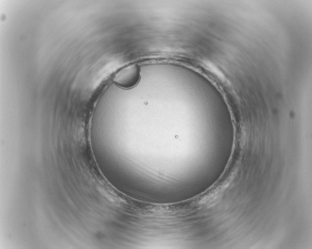 X0000088881259200706221806