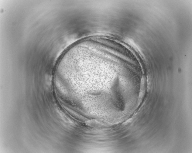 X0000088881260200706221806