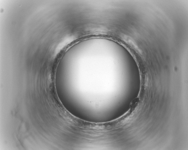 X0000088881261200706221806