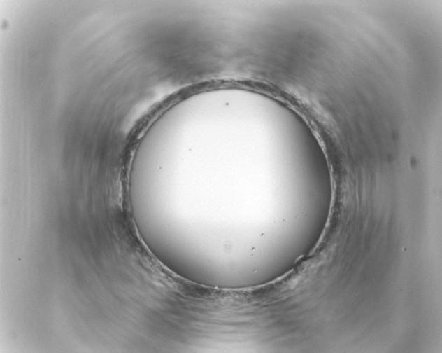 X0000088881262200706221806