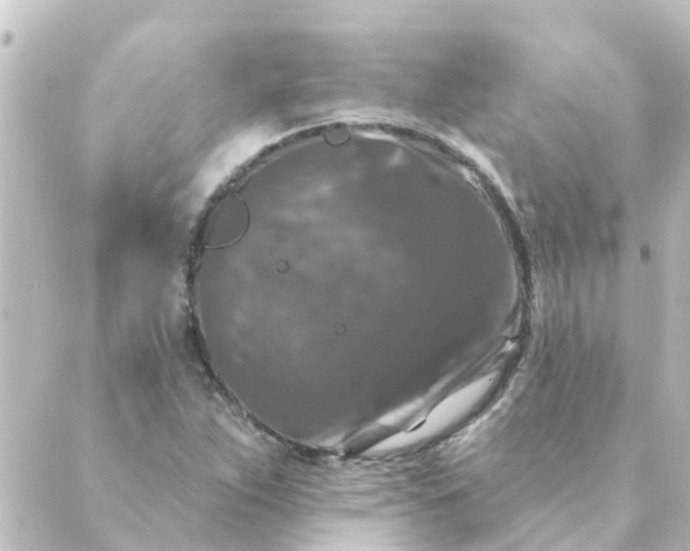 X0000088881263200706221806