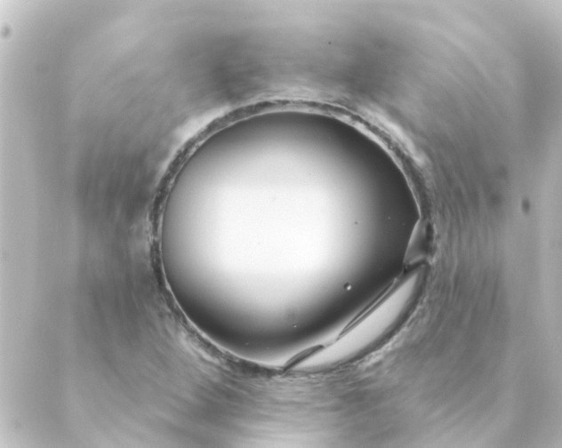 X0000088881264200706221806