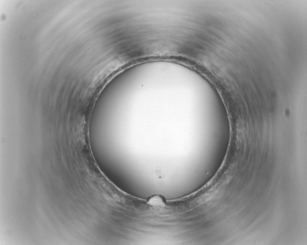 X0000088881265200706221806