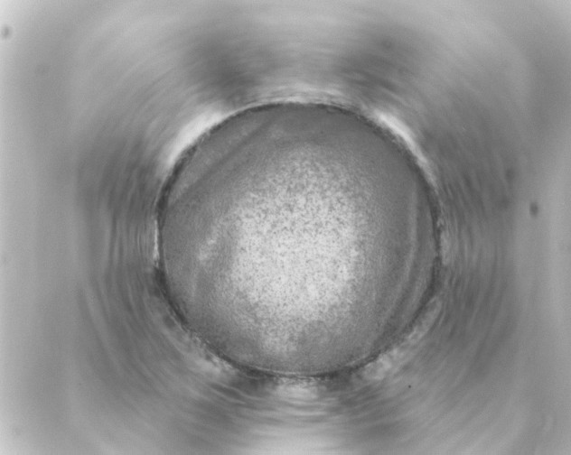 X0000088881267200706221806