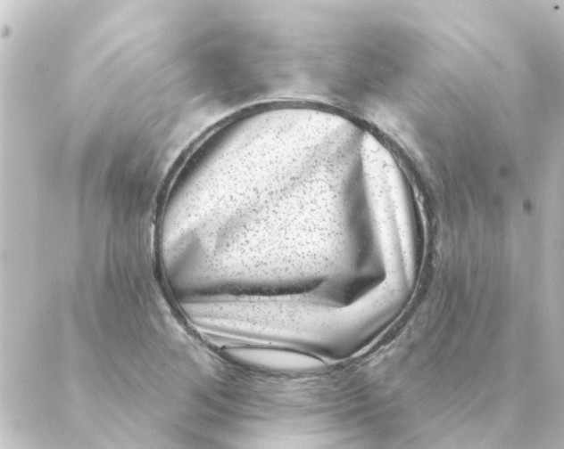 X0000088881268200706221805