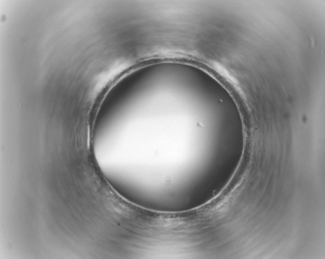 X0000088881269200706221805