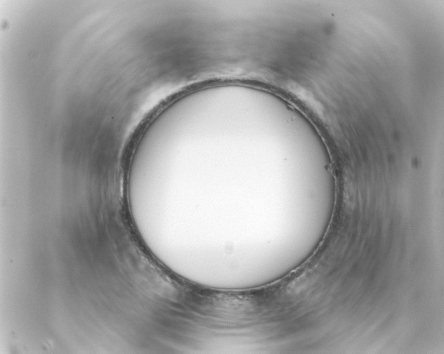 X0000088881270200706221805