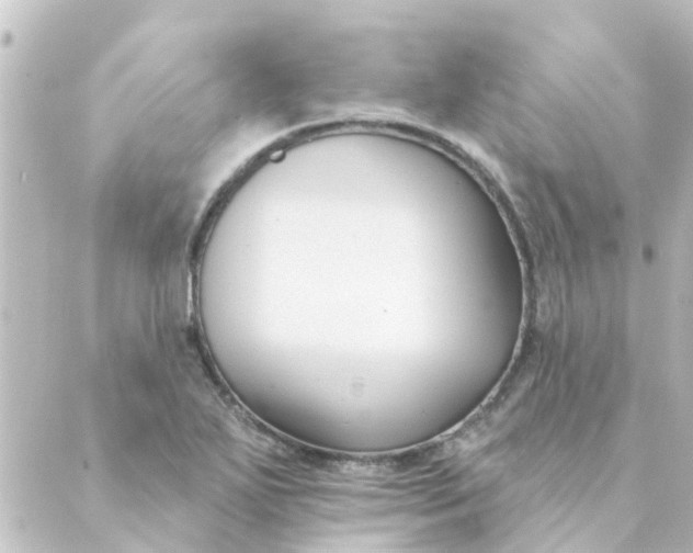 X0000088881271200706221805