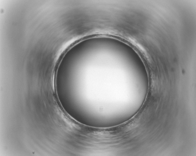 X0000088881272200706221805