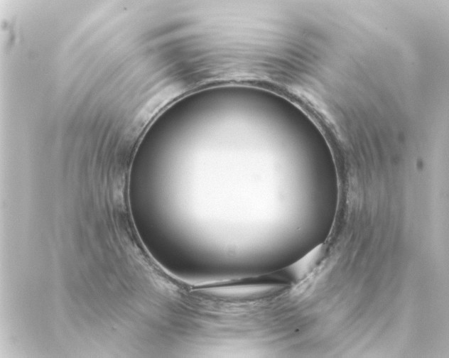 X0000088881273200706221805