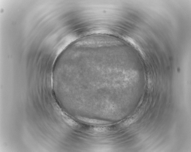 X0000088881274200706221805