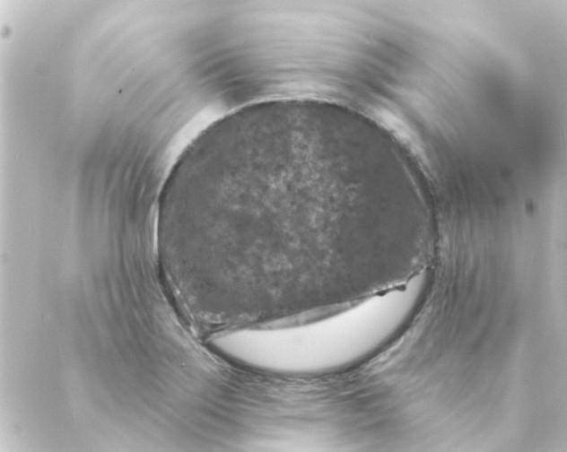 X0000088881275200706221805