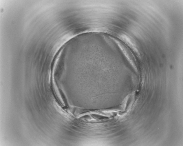 X0000088881276200706221805