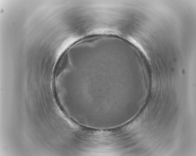 X0000088881277200706221805