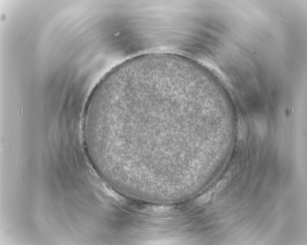 X0000088881278200706221805