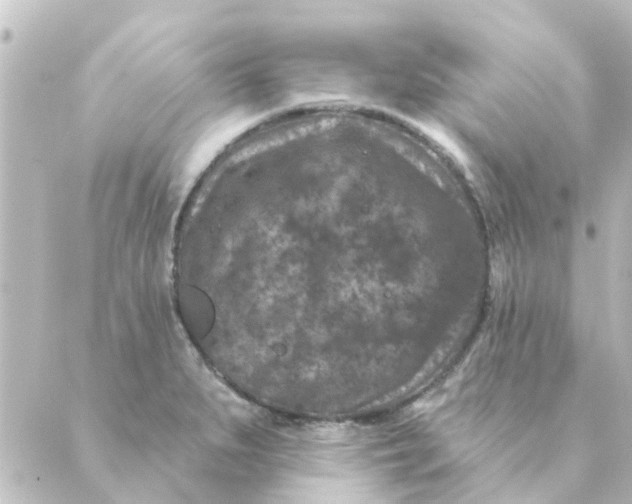 X0000088881279200706221805