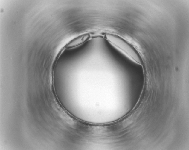 X0000088881280200706221805