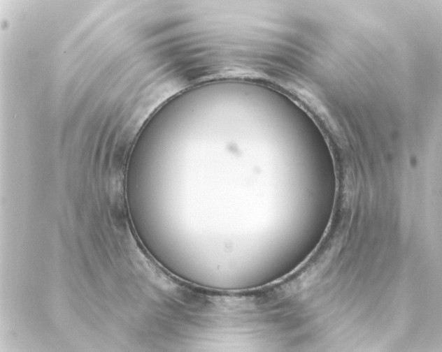 X0000088881281200706221805