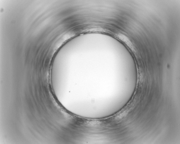 X0000088881282200706221805