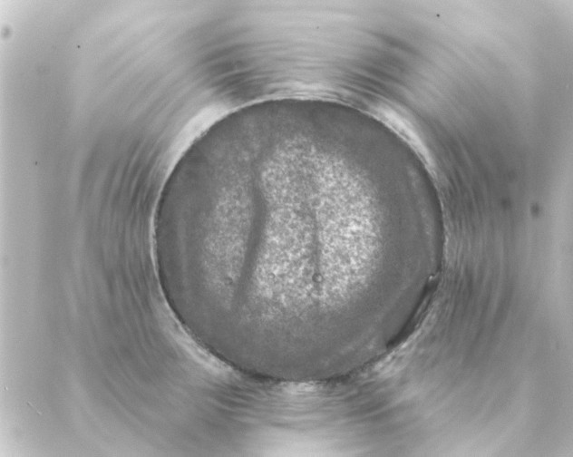 X0000088881283200706221805