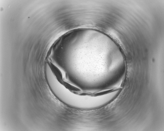 X0000088881284200706221805