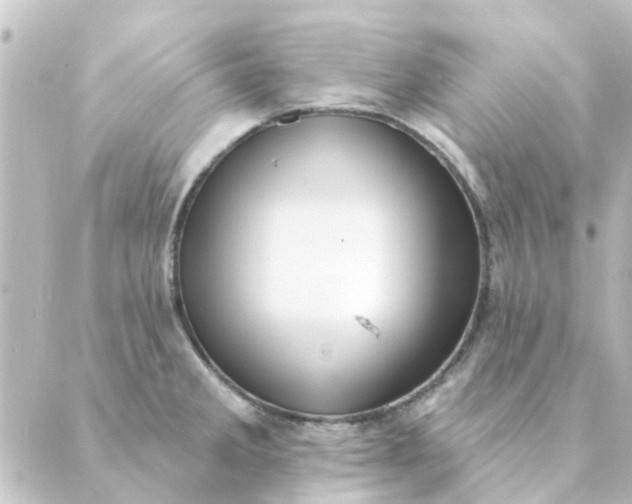 X0000088881285200706221805