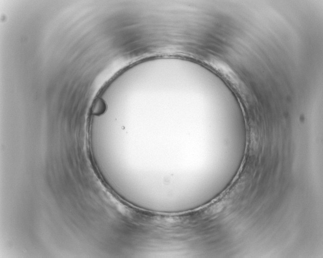 X0000088881286200706221805