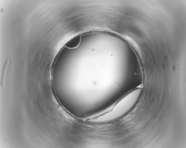 X0000088881287200706221805