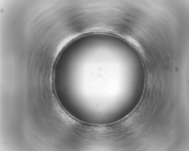 X0000088881288200706221805