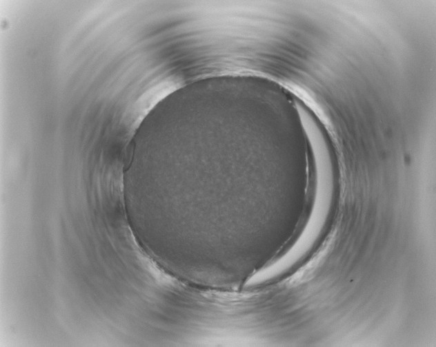 X0000088881289200706221805