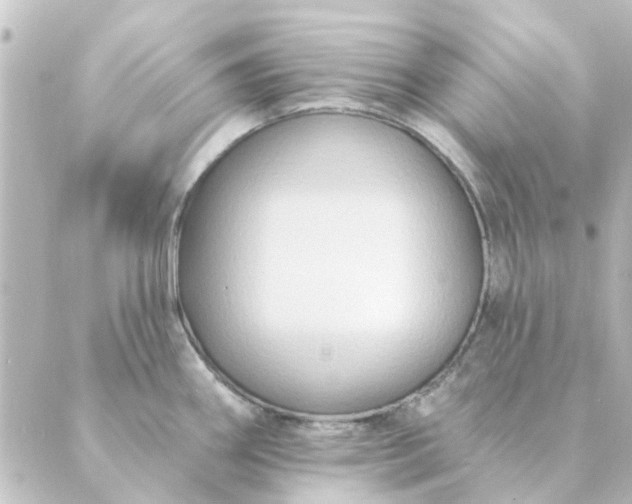 X0000088881290200706221805