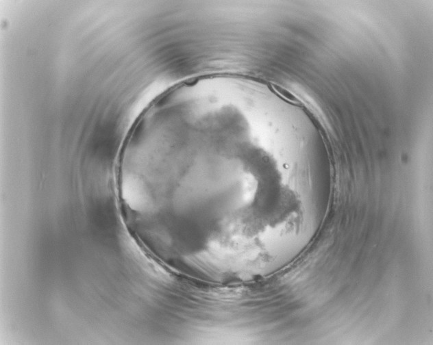 X0000088881291200706221805