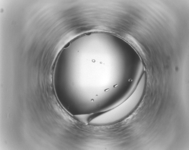 X0000088881292200706221805