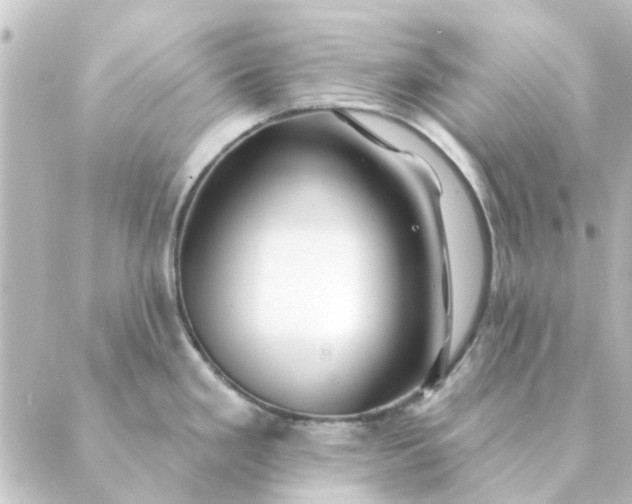 X0000088881293200706221805