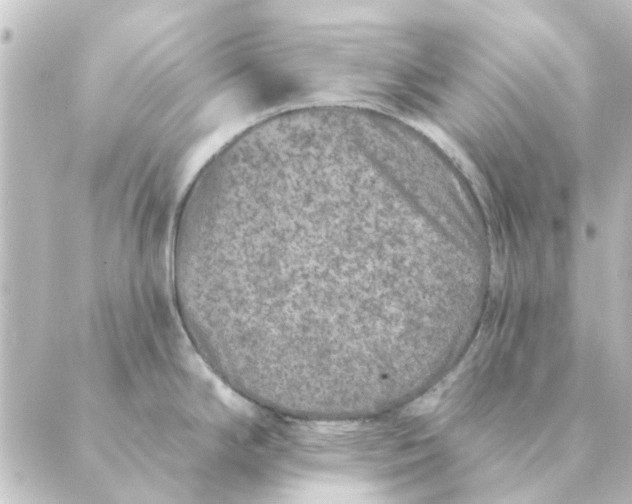 X0000088881294200706221805