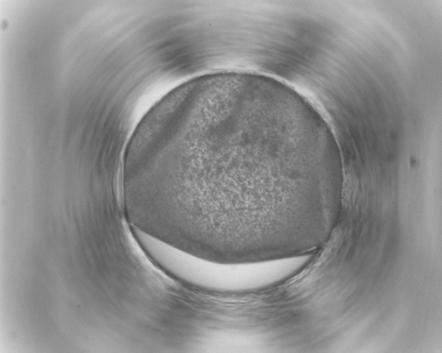 X0000088881295200706221805