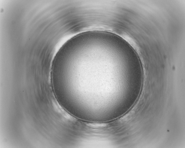 X0000088881296200706221805