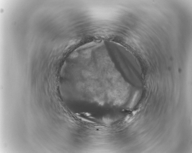 X0000088881297200706221804